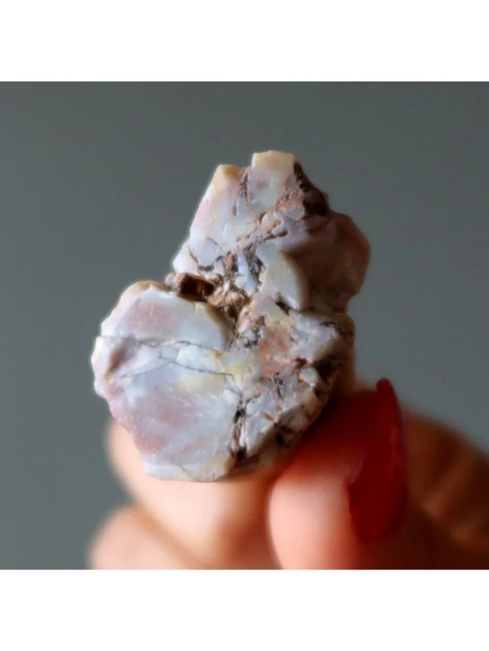 Agatized Petrified Wood Stone Specimen Pink Agate Jasper Rough Mineral